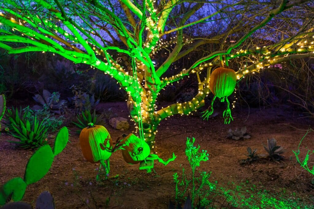 Strange Garden at Desert Botanical Garden