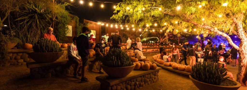 Fall in Tempe is Festive and Fun