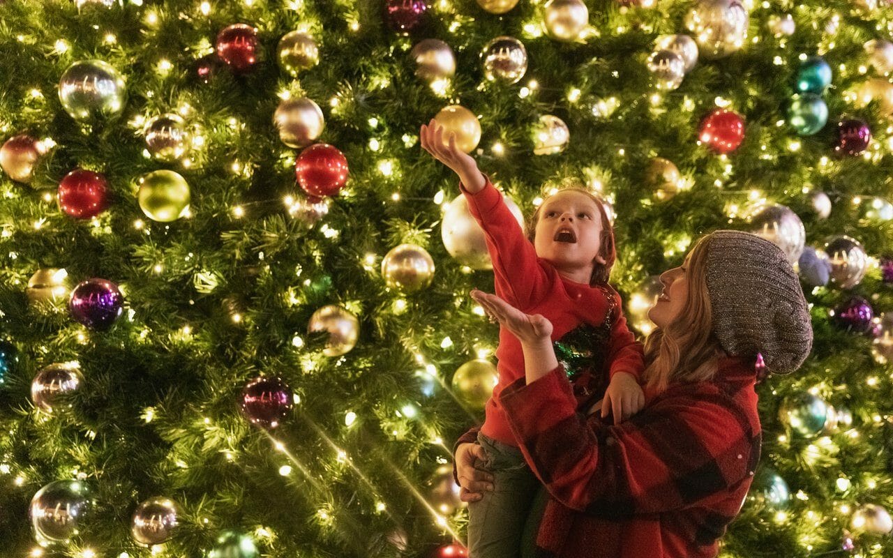 Tempe Marketplace Christmas Tree