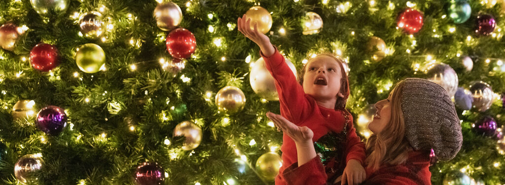 Spend the Holidays in Tempe, Arizona
