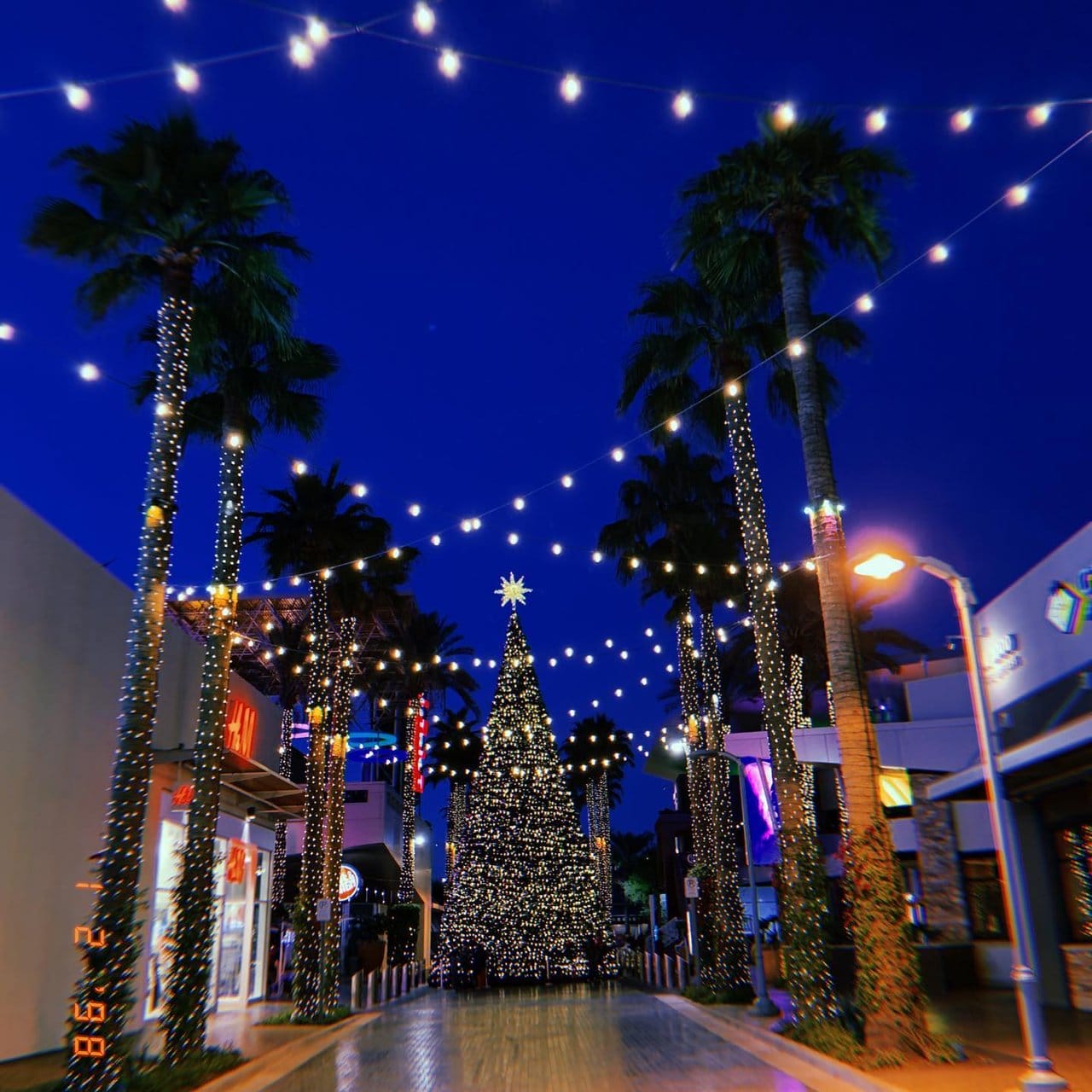 Tempe Marketplace Holiday Tree