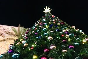 Tempe Marketplace holiday tree