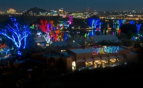ZooLIghts at The Phoenix Zoo