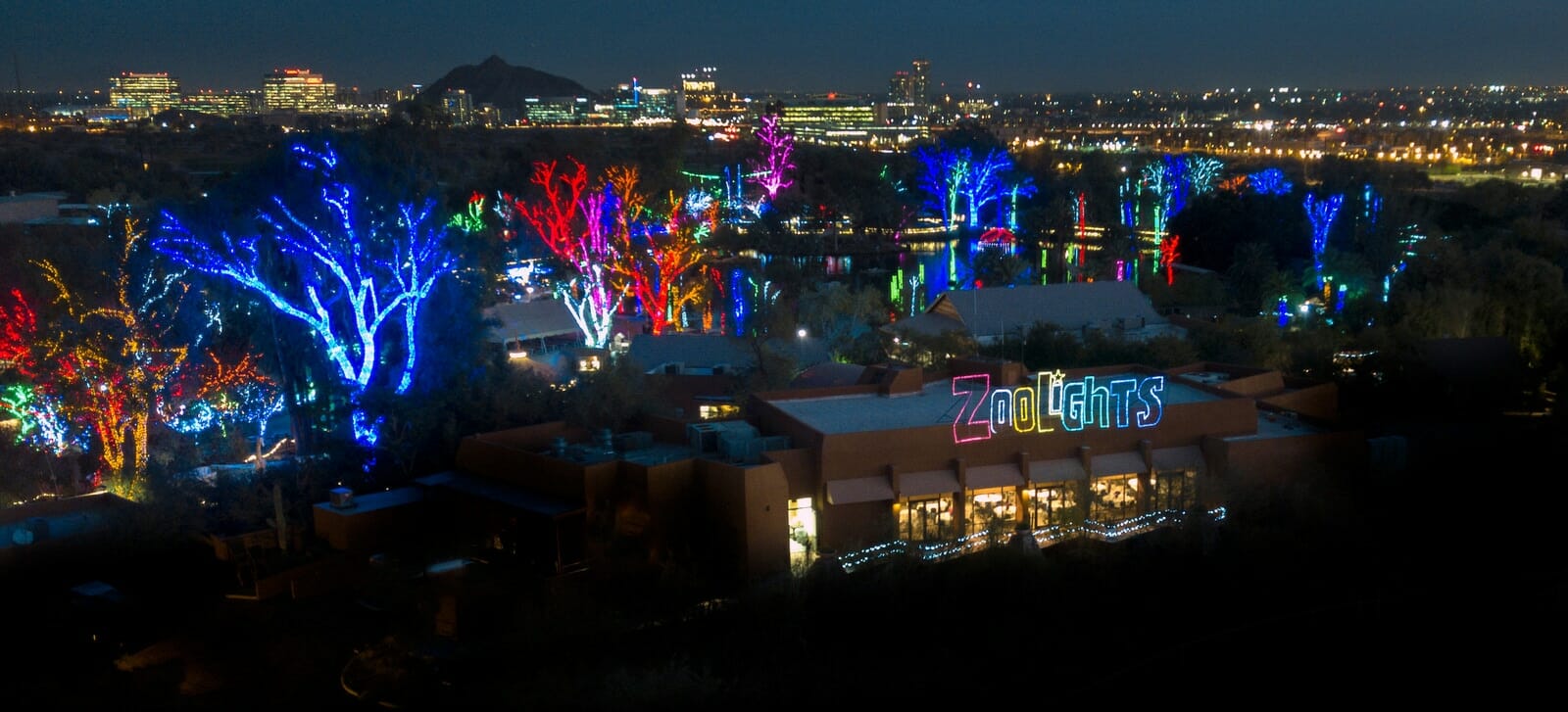 Zoolights 2025 Ford Rorie Claresta