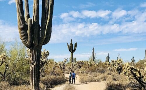 Usery Park hike
