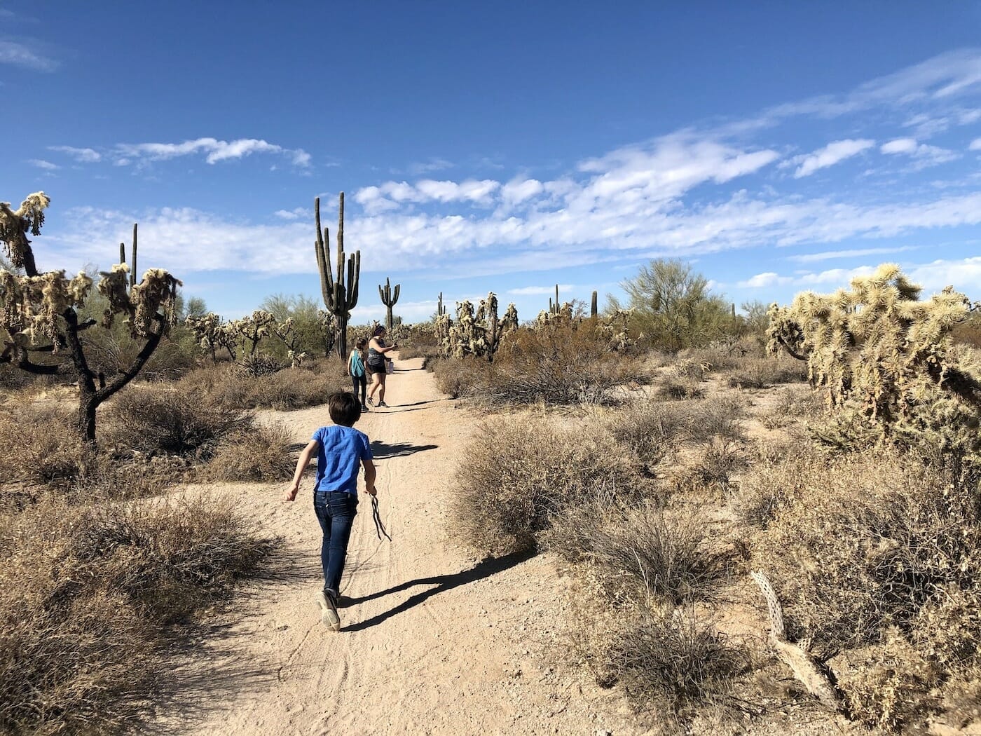 Usery Park family hike