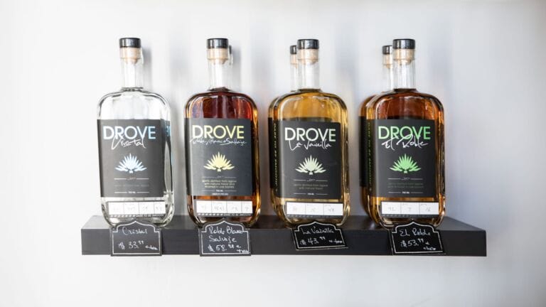 When the Spirits Move You: Tempe Distilleries