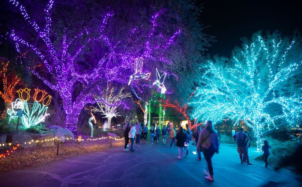 ZooLights at The Phoenix Zoo