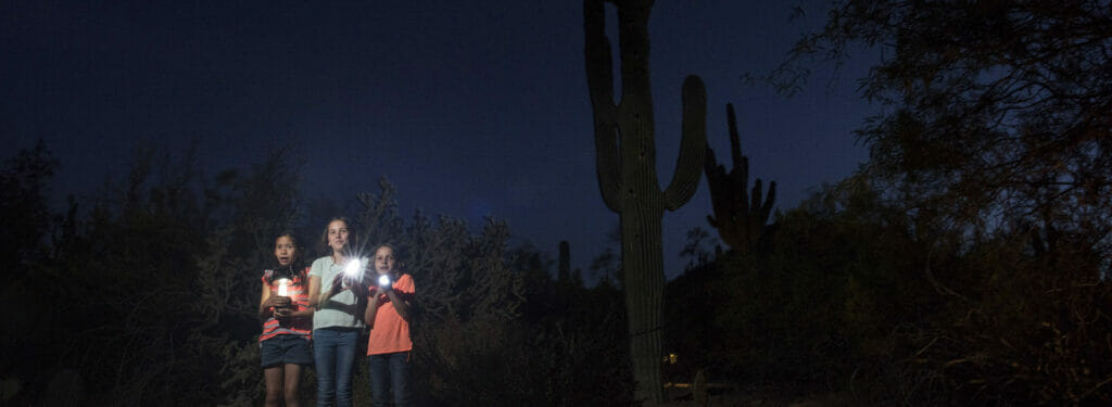 Desert Botanical Garden Flashlight Tours