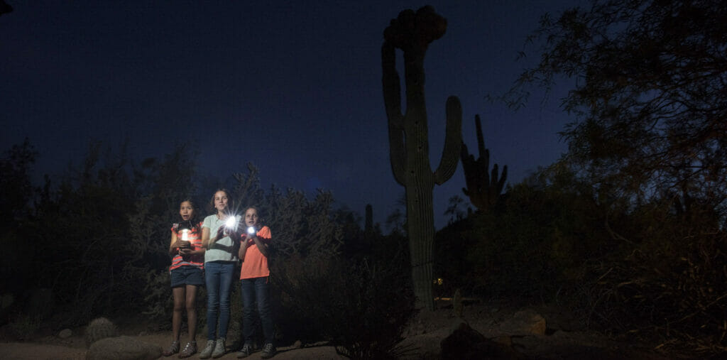 Desert Botanical Garden Flashlight Tours