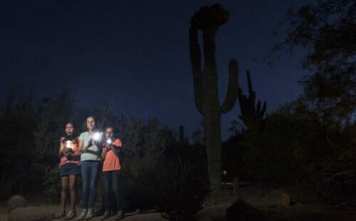 Desert Botanical Garden Flashlight Tours