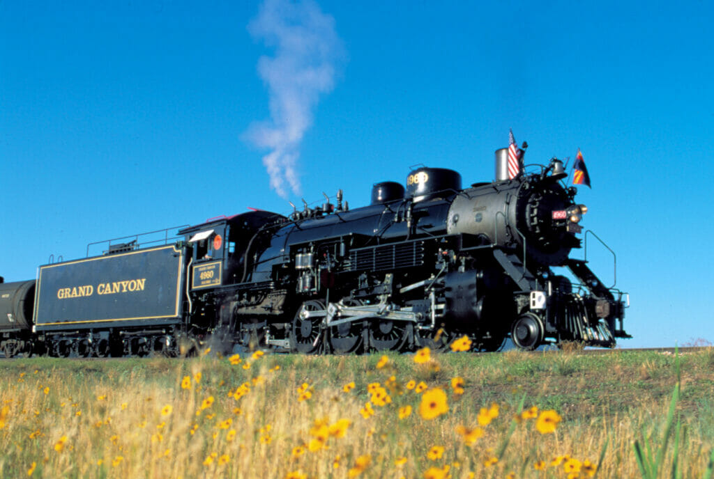 Grand Canyon Railway with sunflowers