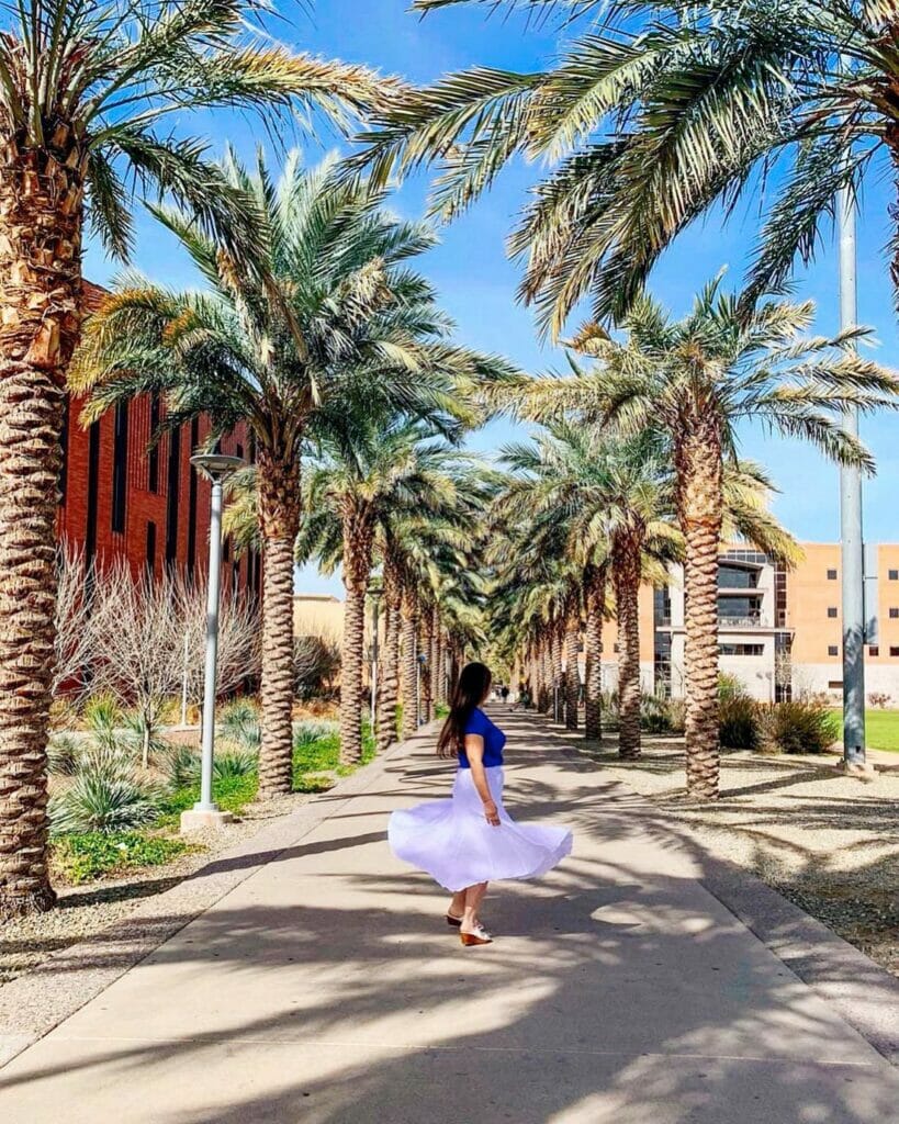 ASU Palm Walk