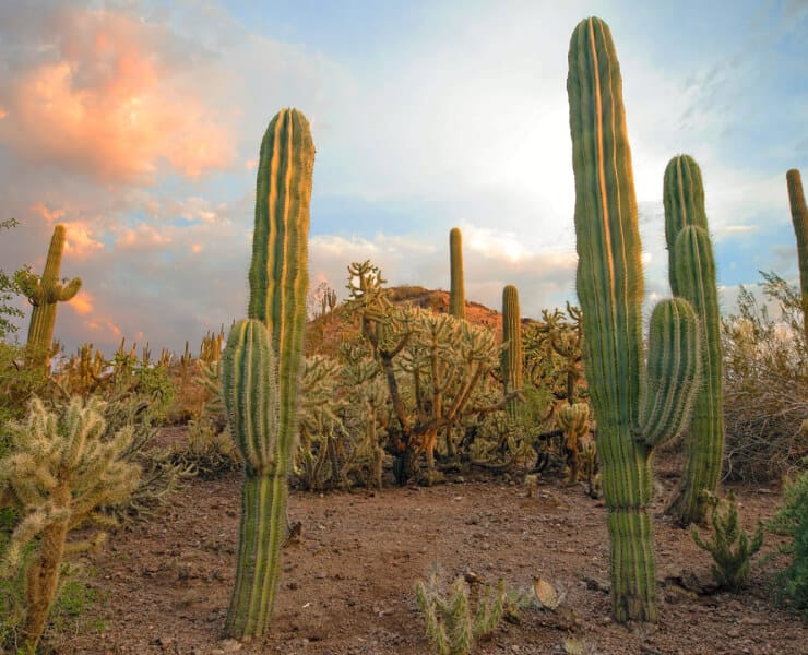 Top Places to Catch a Sunset